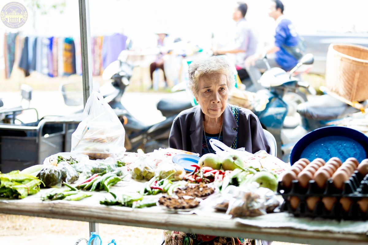 องค์การบริหารส่วนตำบลเวียง