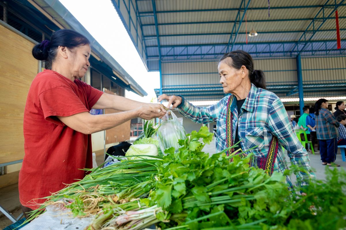 องค์การบริหารส่วนตำบลเวียง