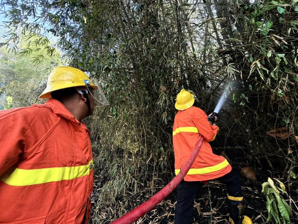 องค์การบริหารส่วนตำบลเวียง