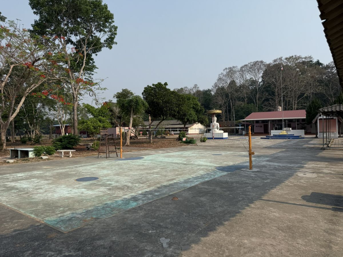 องค์การบริหารส่วนตำบลเวียง