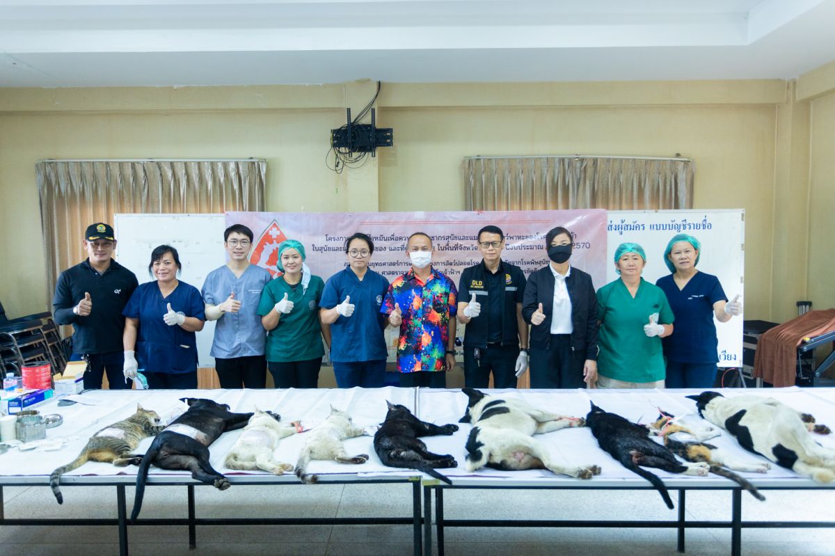 องค์การบริหารส่วนตำบลเวียง