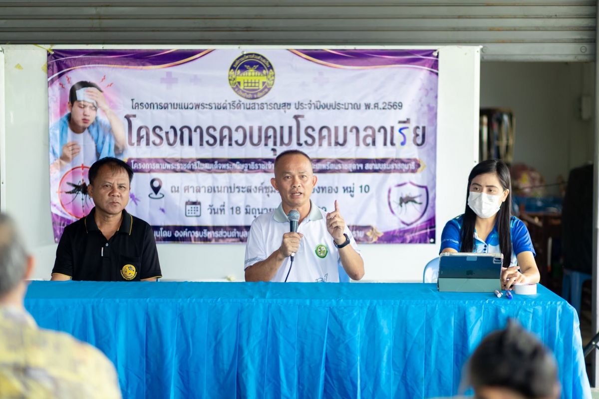 องค์การบริหารส่วนตำบลเวียง